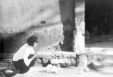 �Ӿ�Ҳ���ջ������������������һ�£����ǵľ�������Ȼ�ӵúܶ࣬��ֻС�ͼ�������һֻ���׵İȶ������Ӿ��������档(����� �ı�/��Ӱ)