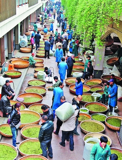 第九届大佛龙井茶文化节举行