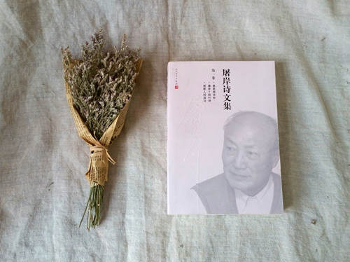 《屠岸诗文集》单本书影。人民文学出版社供图。 点击进入下一页