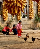 周寻:心里啥都有