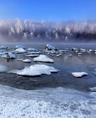 陈年喜:流水倒映冬日,又陈旧又崭新