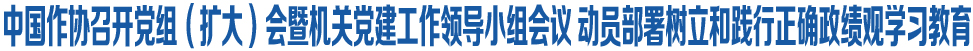 中国作协召开党组(扩大)会暨机关党建工作领导小组会议 动员部署树立和践行正确政绩观学习教育