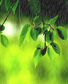 李达伟：雨季来临