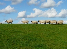 桥头羊肉店　　我们这一刻谈艺术，下一刻谈生活，再下一刻则聊起了生意。[详细]