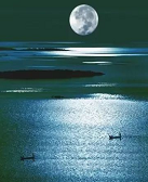 苏枕书：“可爱”的日与夜