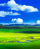 刘照进：旷野中生长