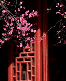 汗漫：铁佛和梅