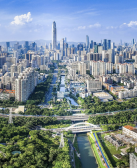 蓝格子：城市造访者（组诗）