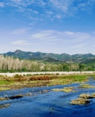 北野：沙湖记