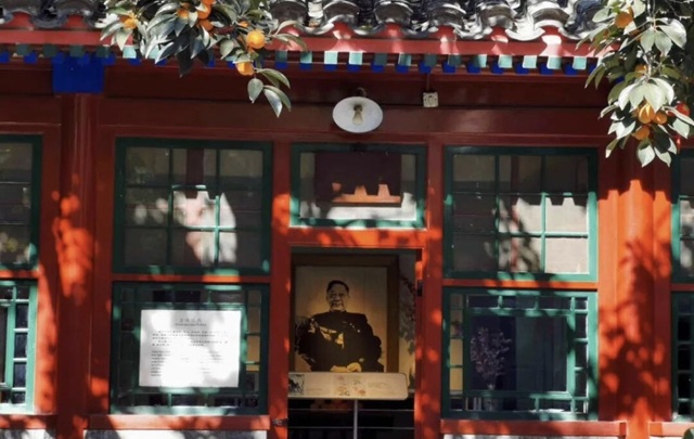 秋日在丹柿小院:枝头红柿灿如花,像老舍从天上寄回信