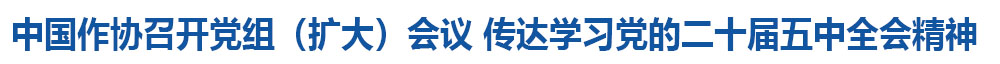 中国作协召开党组（扩大）会议 传达学习党的二十届五中全会精神  研究贯彻落实措施