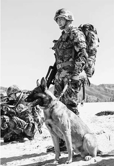 电视剧《神犬奇兵》—— 人犬之情的感人演绎